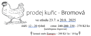 Prodej kuřic